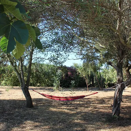 Olmedo Casa Vacanze * Olmedo