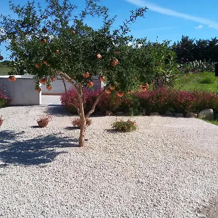 Appartement Olmedo Casa Vacanze *