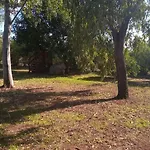 Olmedo Casa Vacanze Apartamento *